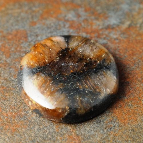 Chiastolite Cabochon