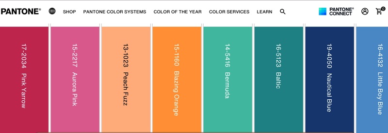 2024 Pantone Colour Pairings