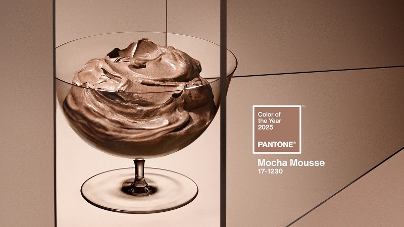 Pantone Colour 2025 Mocha Mousse 7-1230