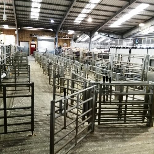 2024 Skipton Auction Mart