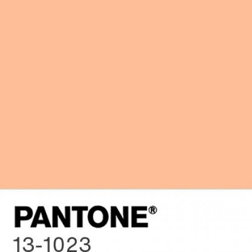 Pantone Colour 2024 Peach Fuzz